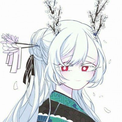 公司倒闭5只猫被法拍